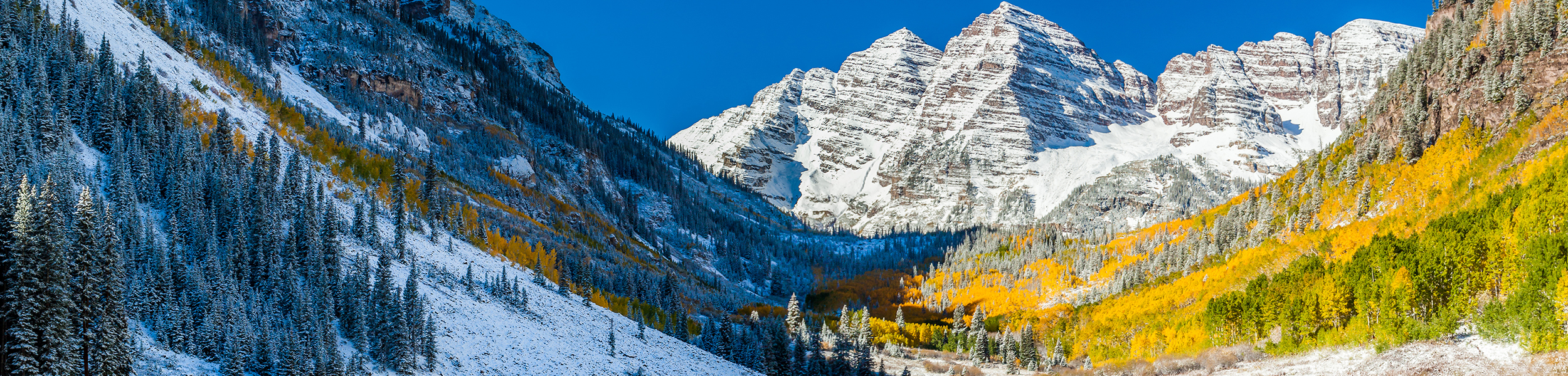 Aspen prices rise as stock levels tumble