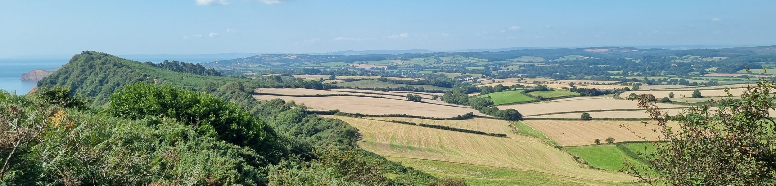 ELMS – more options, improved payments and speed-up of roll out