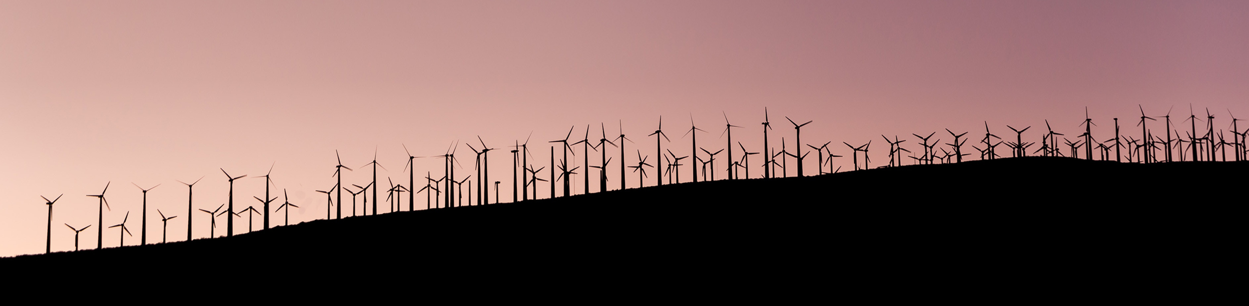 Do homeowners value and seek sustainability?
