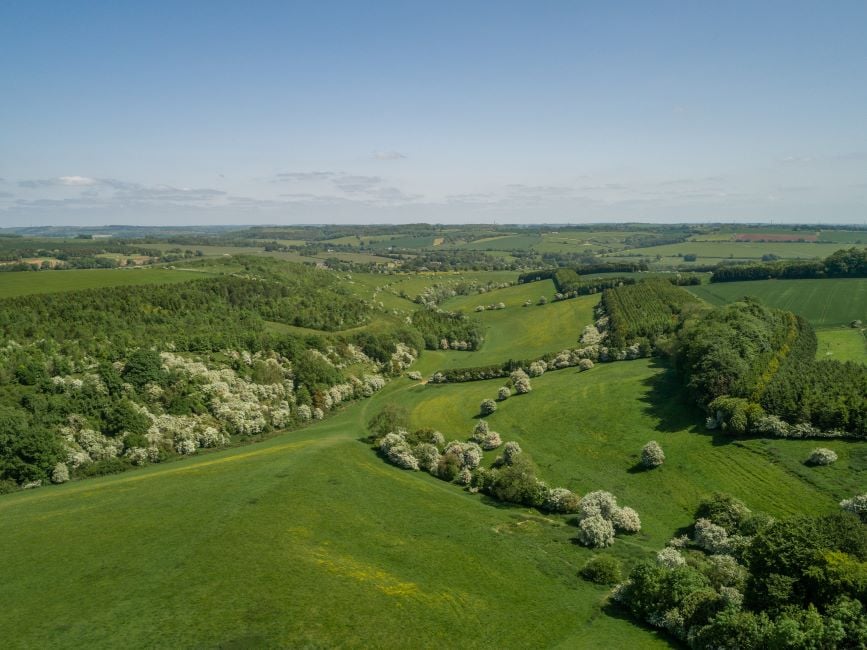 Image of UK farmland values hit record high