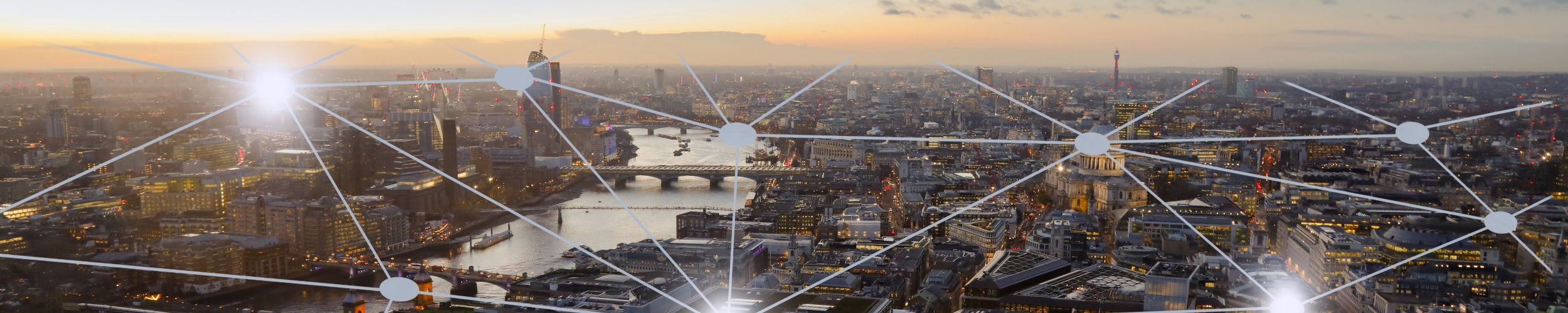 Competing for Global Capital