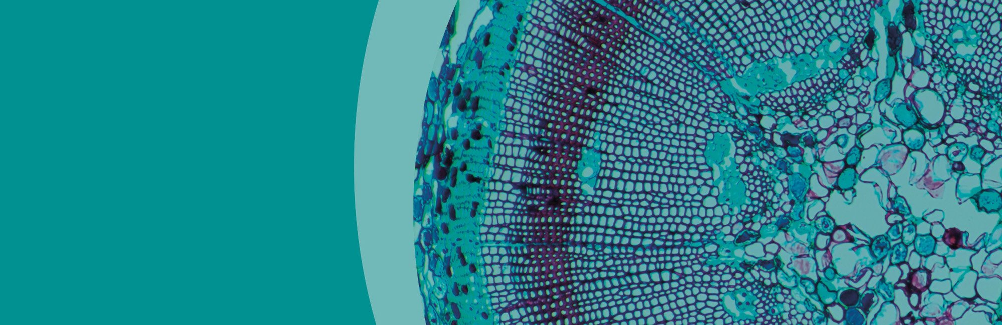 Life Sciences and Innovation activity in the UK: Q4 2022 Insights