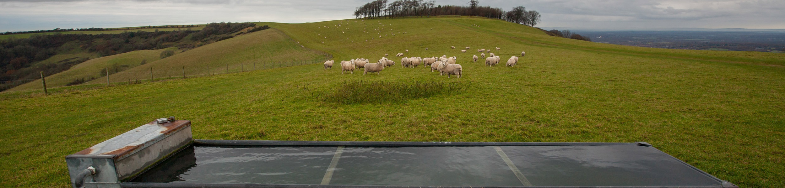 Top three tips for reducing water costs