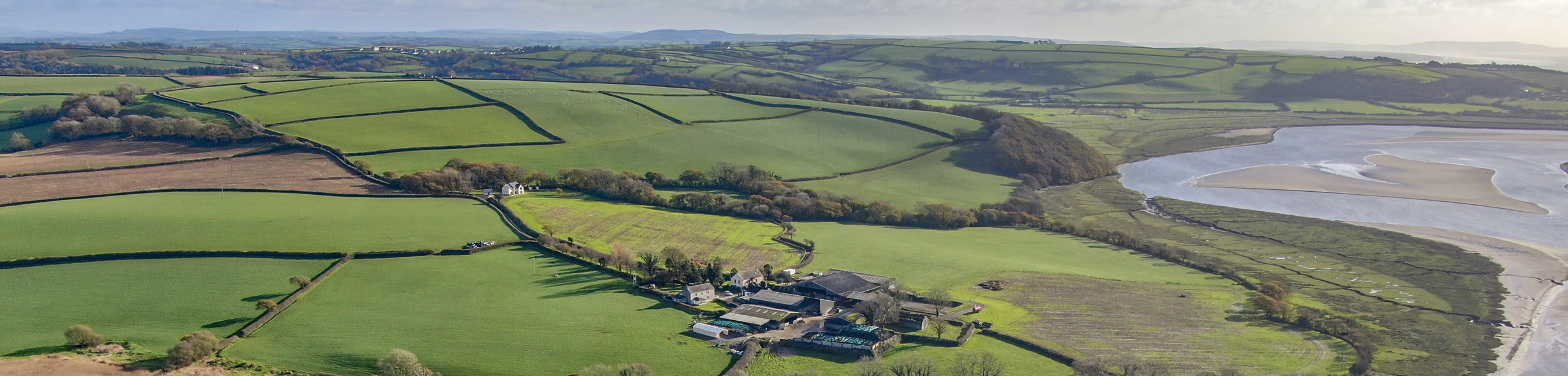 Farmland values continue to rise
