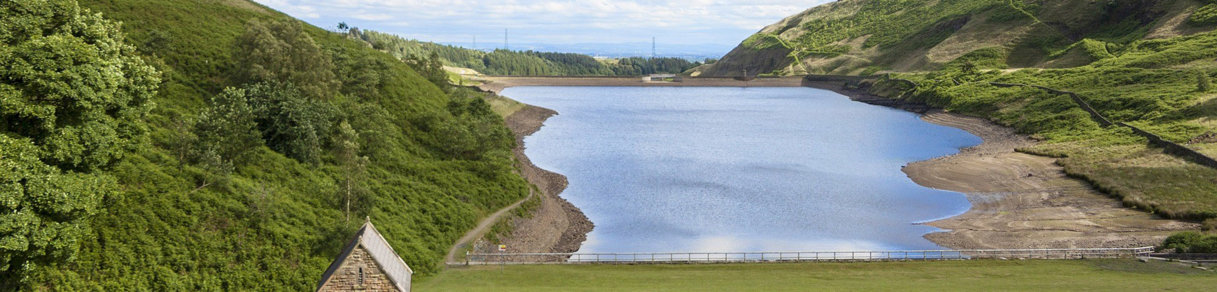 Water, wheat and whisky