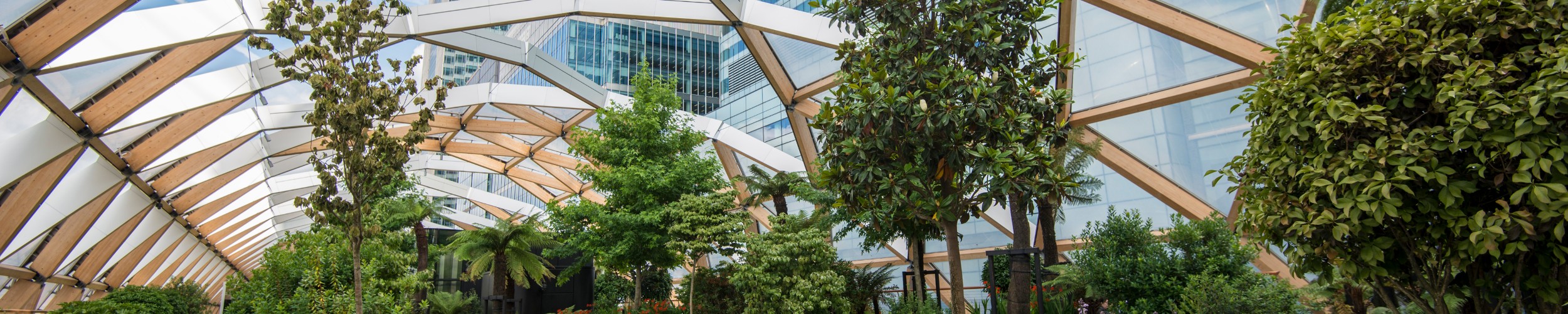 Offices – A new sense of purpose