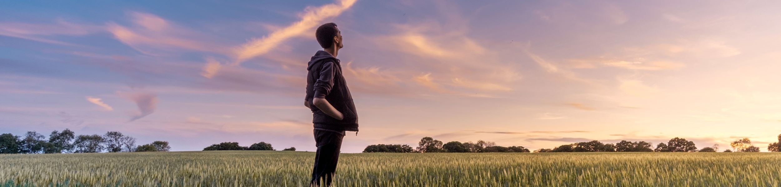 UK rural property: looking for leadership