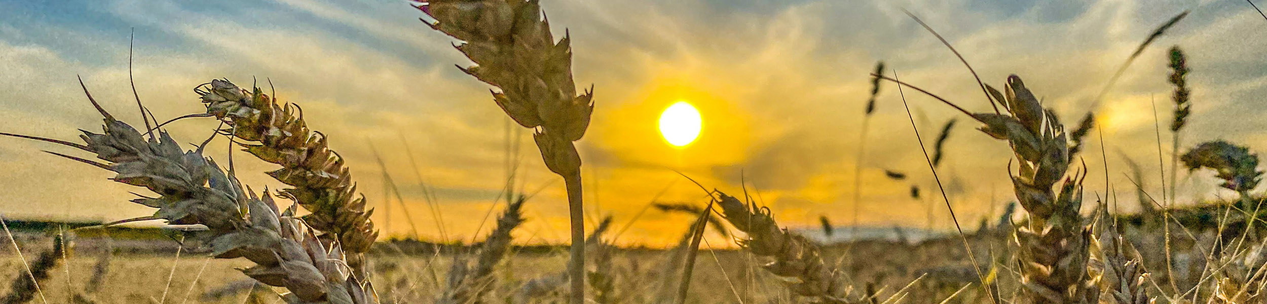 UK rural property: Plan for the future