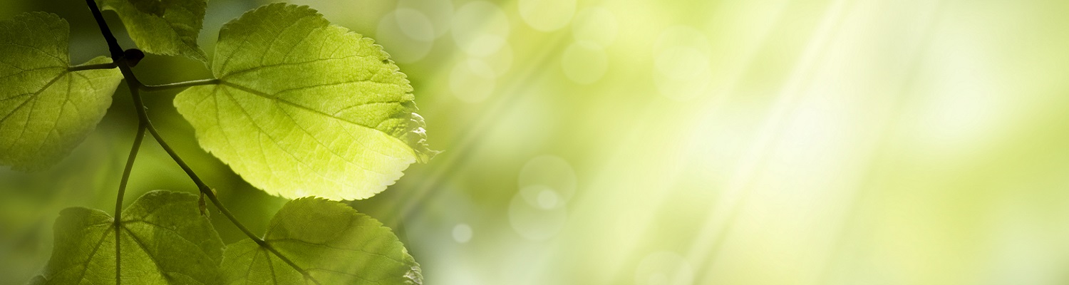 What does 'good' ESG in UK real estate look like?