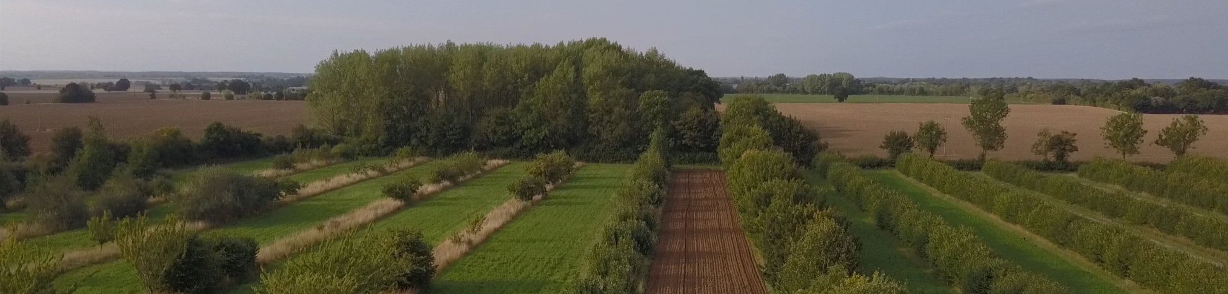 Agroforestry – What can it offer land managers?