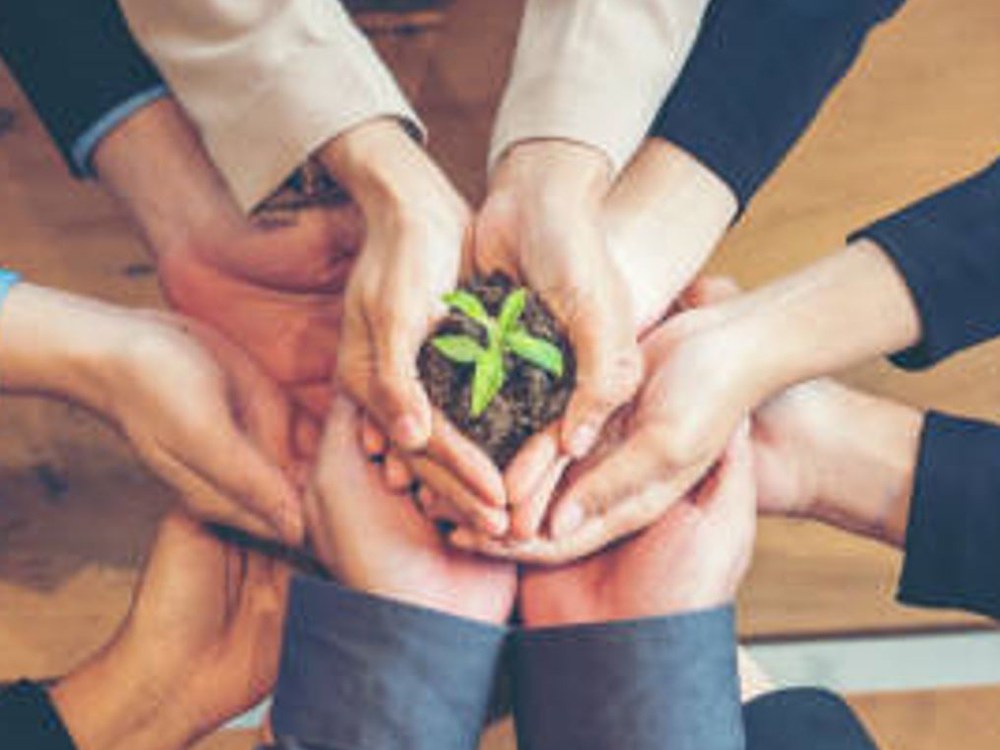 Image of The Rising Importance of Social Value for Life Sciences