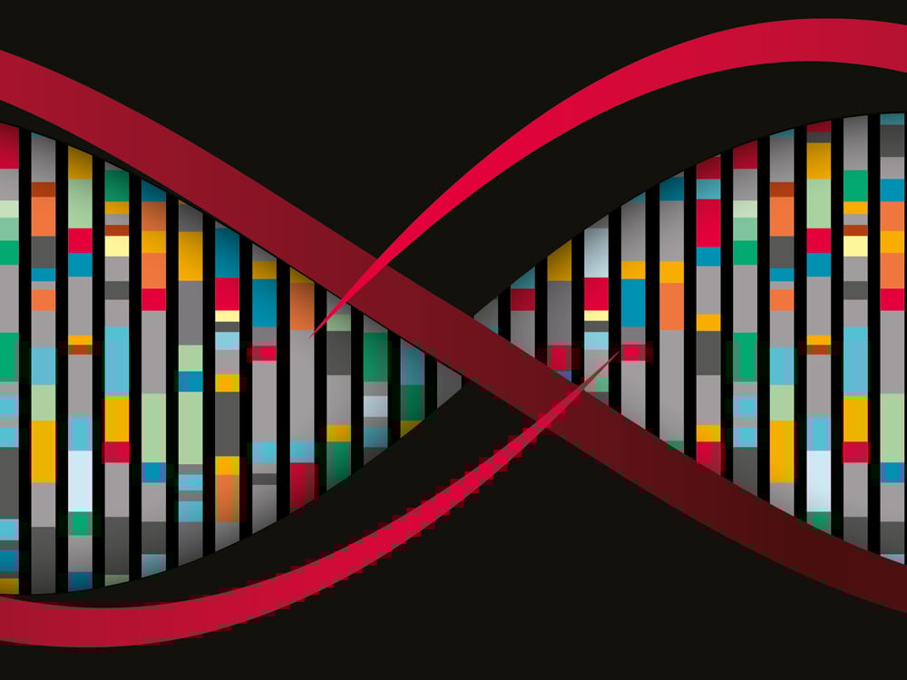 Image of UK Cities DNA | Meet the new boss, same as the old boss?