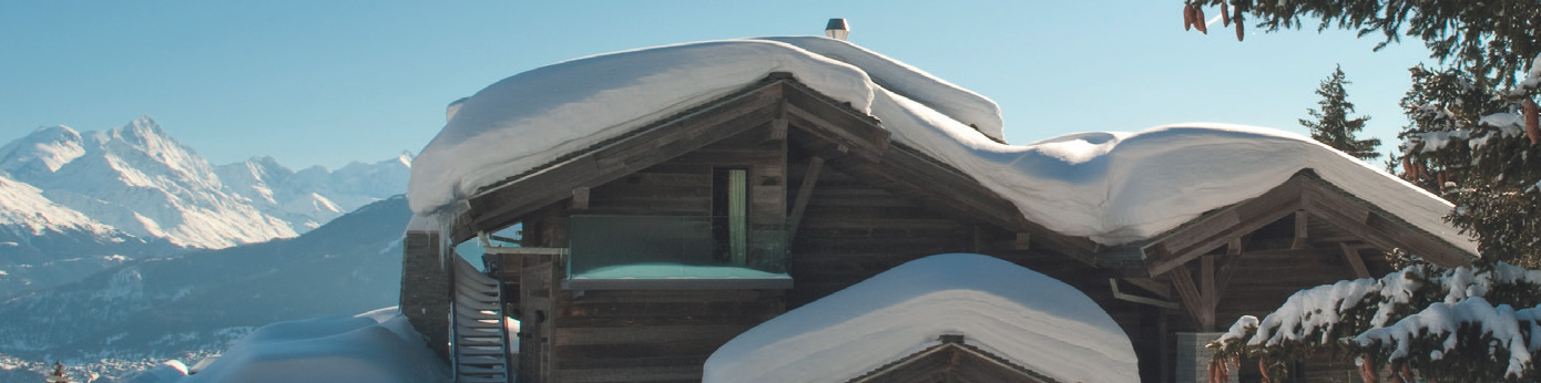 Alpine Sentiment Survey: Understanding Motivations