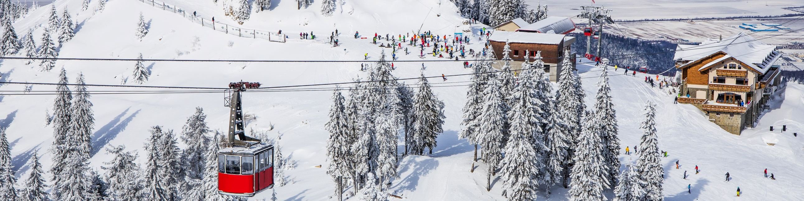 The Ultimate Resort Guide: Altitude, Access, and Snow Quality