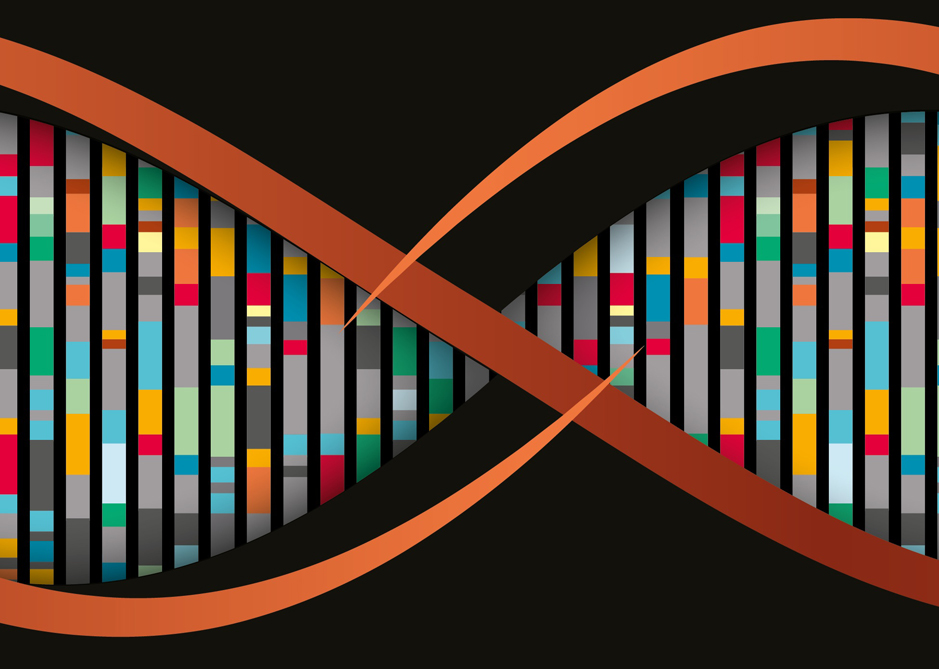 Image of UK Cities DNA | Stemming the flow: The role of housing in reversing regional brain drain