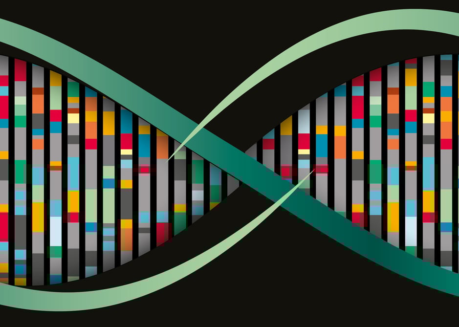 Image of UK Cities DNA | The Two Big 'Os'