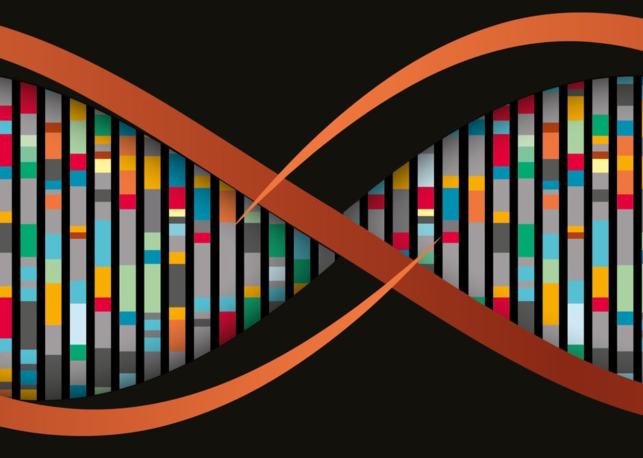 Image of UK Cities DNA | to Refurb Refit Reposition or Repurpose