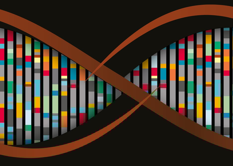 Image of UK Cities DNA | Five Great Barriers to Repurposing