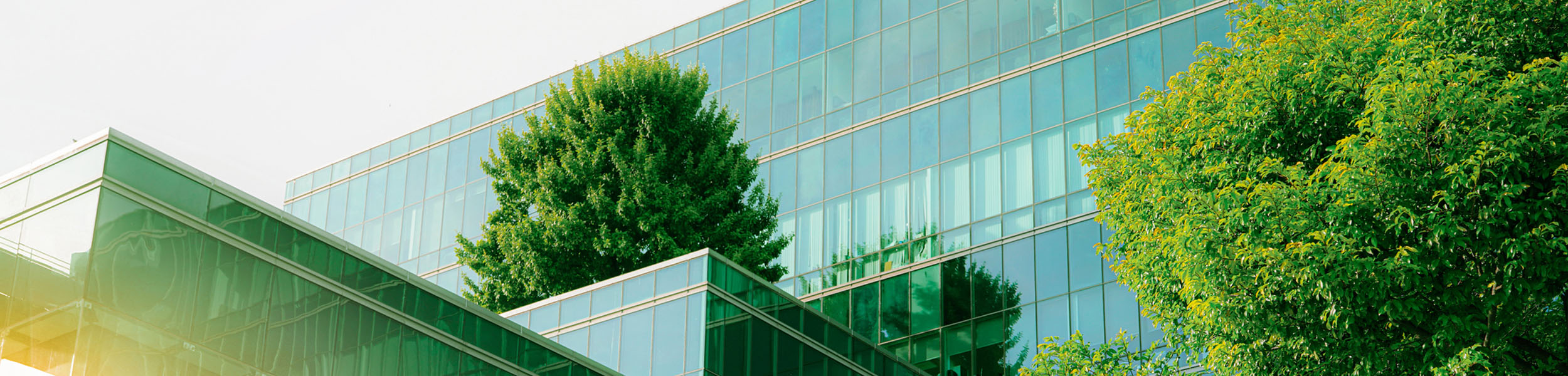 Untangling the knots in ESG