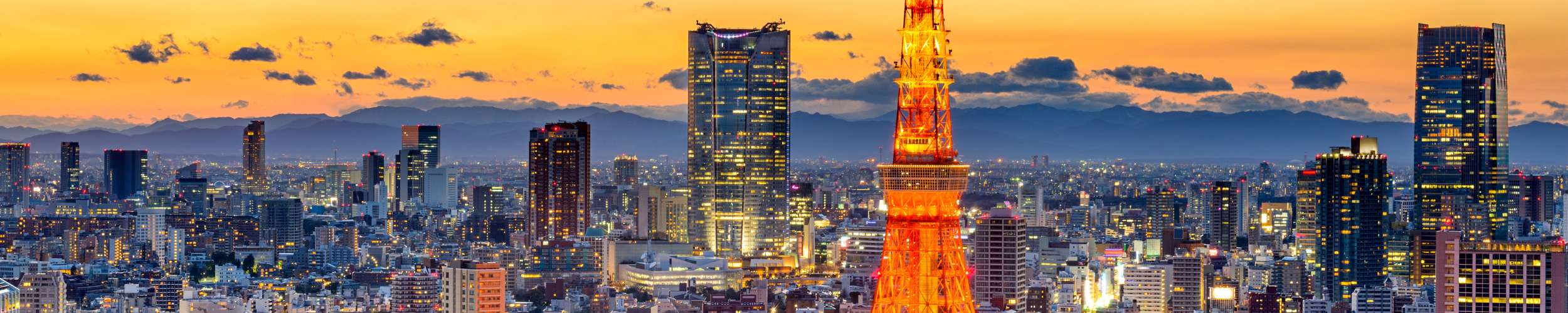 Japan’s Rising Sun: A Look into the Thriving Private Investment Landscape