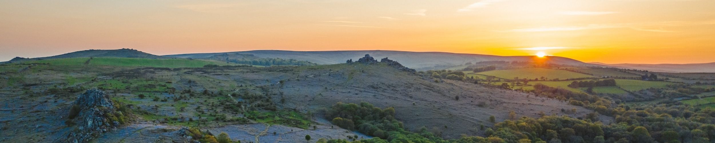 Carbon credits can help offer a greener future