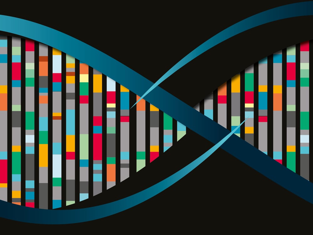 Image of UK Cities DNA | What defines and shapes our towns and cities?