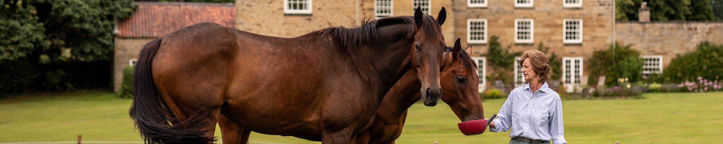 What the countryside is thinking - results of The Knight Frank Rural Sentiment Survey 2024