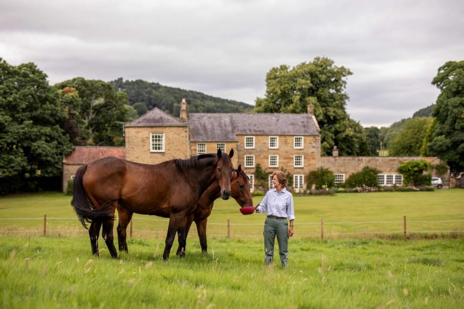 Image of What the countryside is thinking - results of The Knight Frank Rural Sentiment Survey 2024