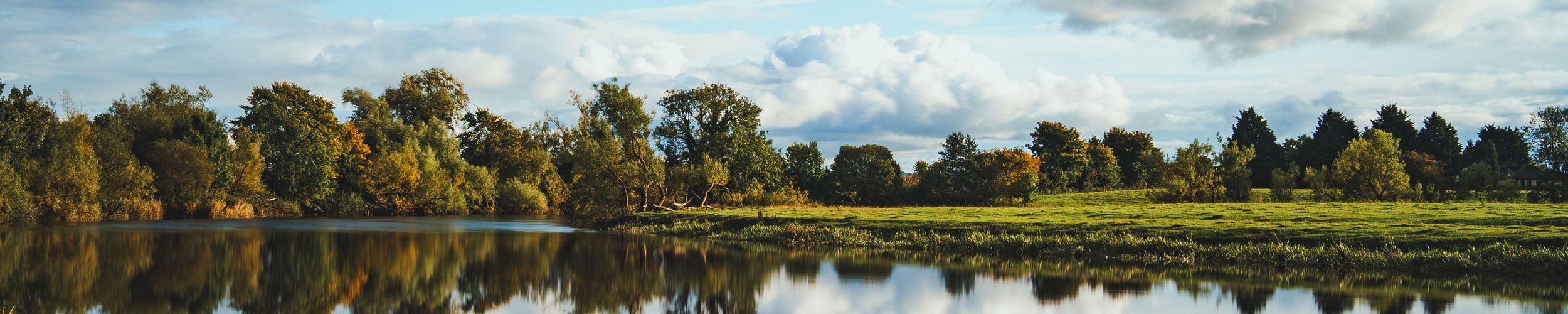 Working with nature - how it can benefit all sectors