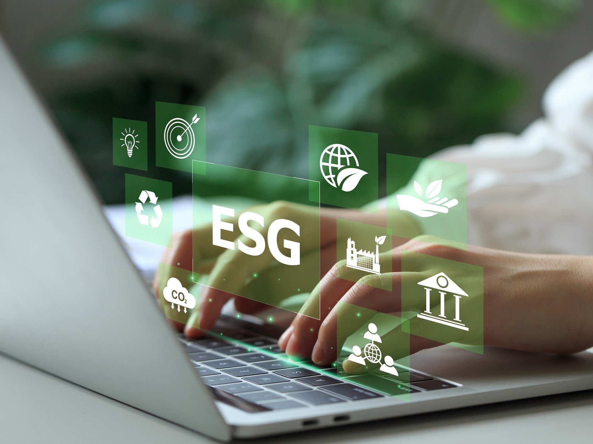 Image of The ESG outlook: What’s next for 2025?