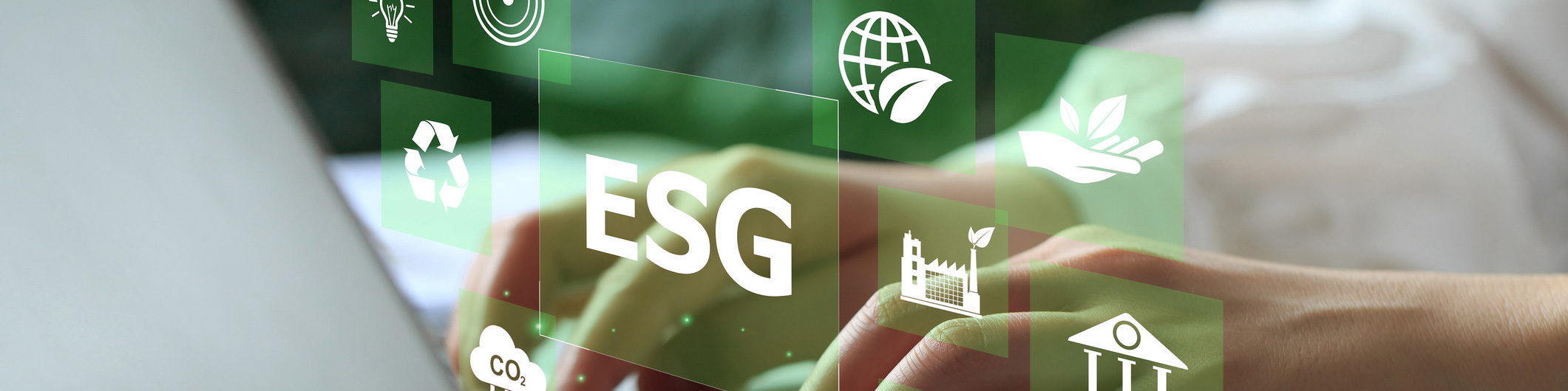 The ESG outlook: What’s next for 2025?