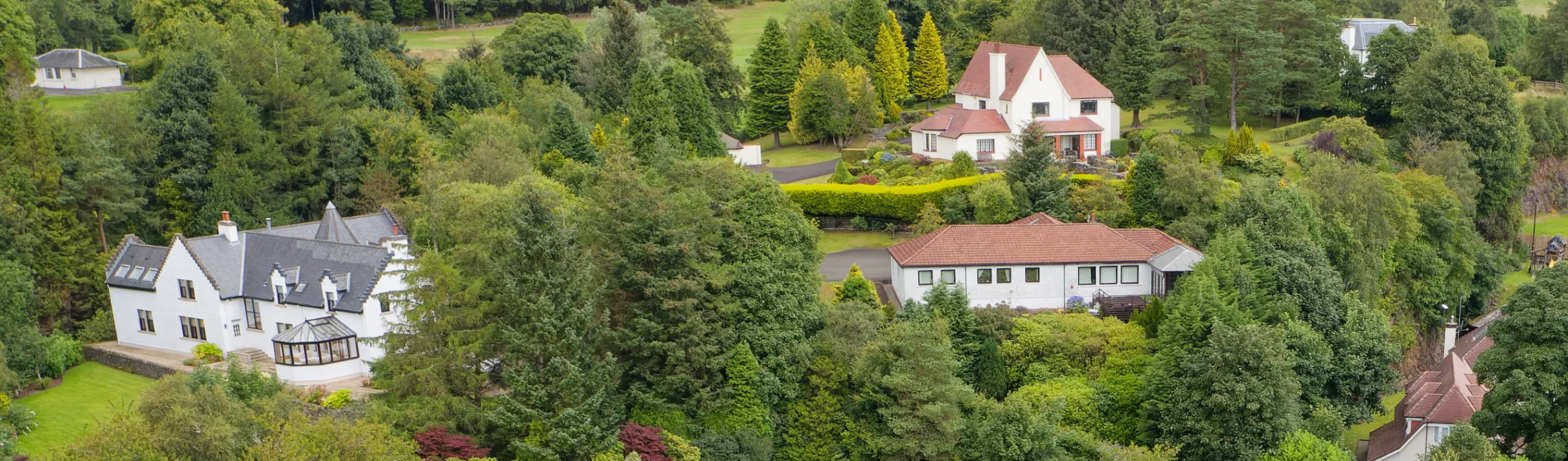 Falling Prices Support Demand in the Country Market