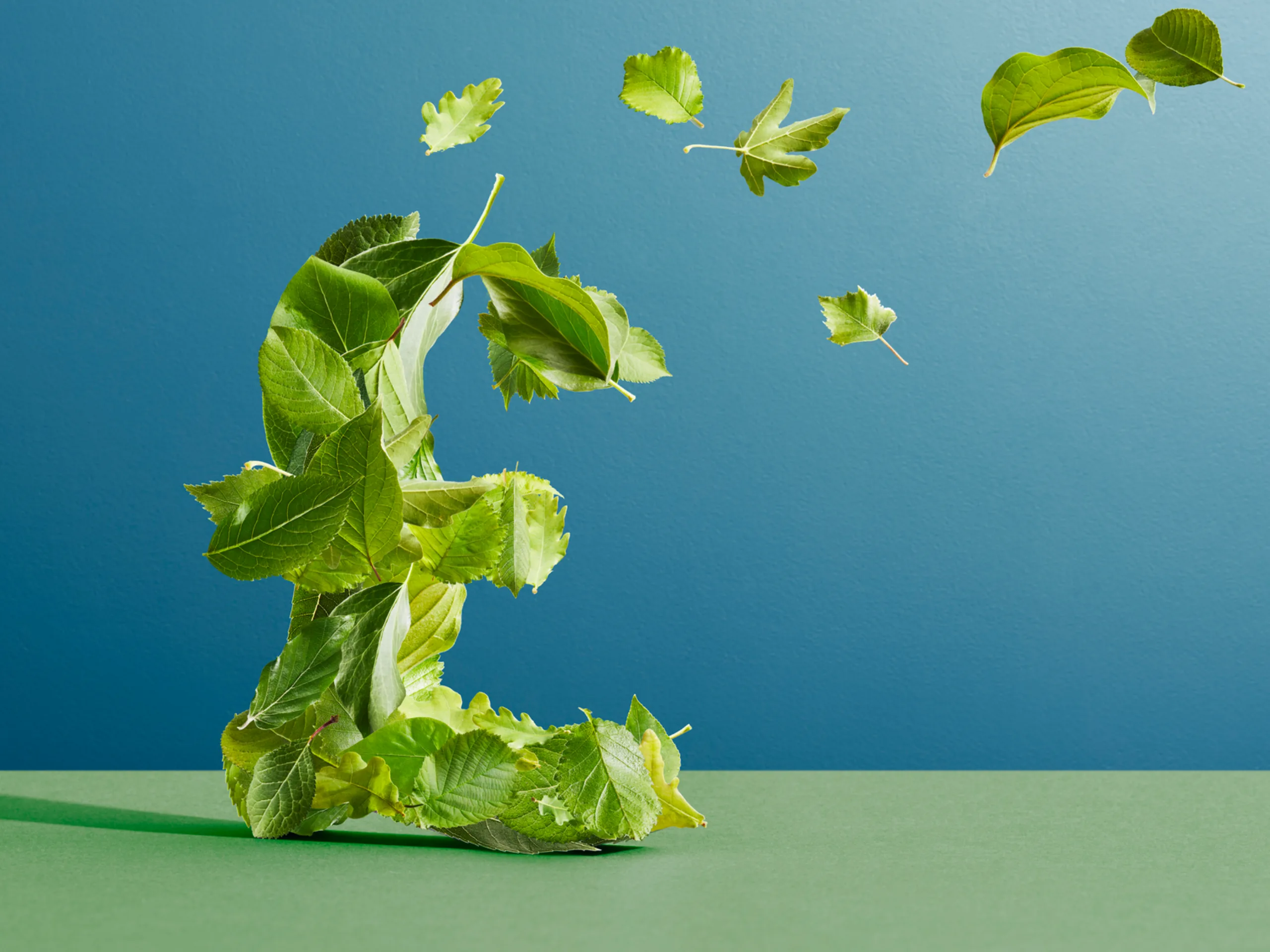 Image of A sustainable budget? Key takeaways for energy & sustainability in real estate