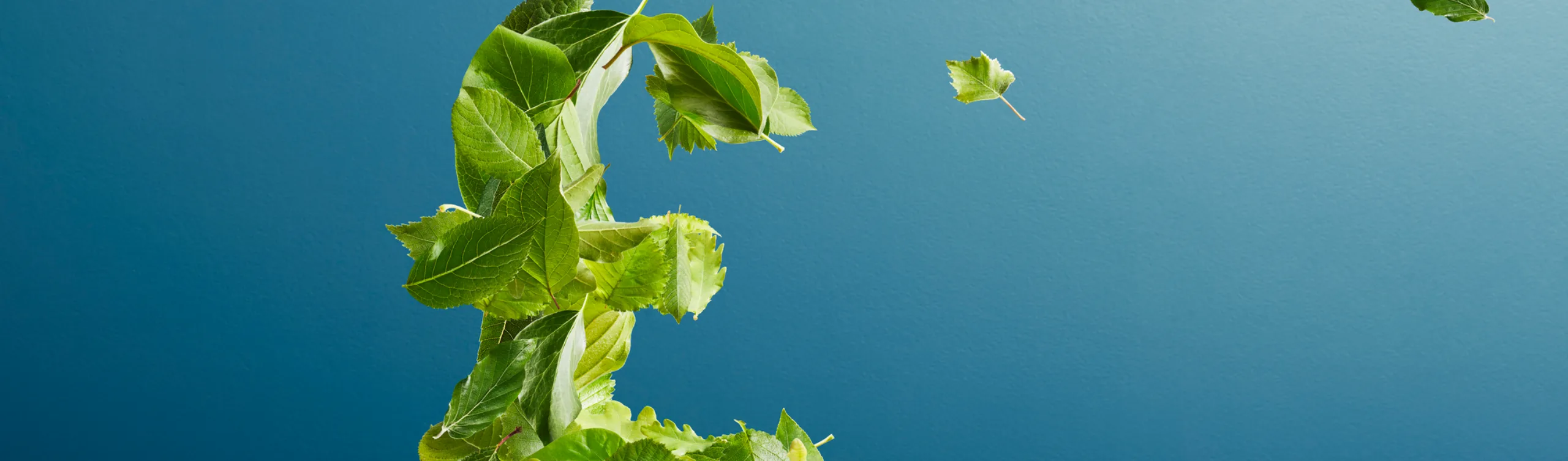 A sustainable budget? Key takeaways for energy & sustainability in real estate