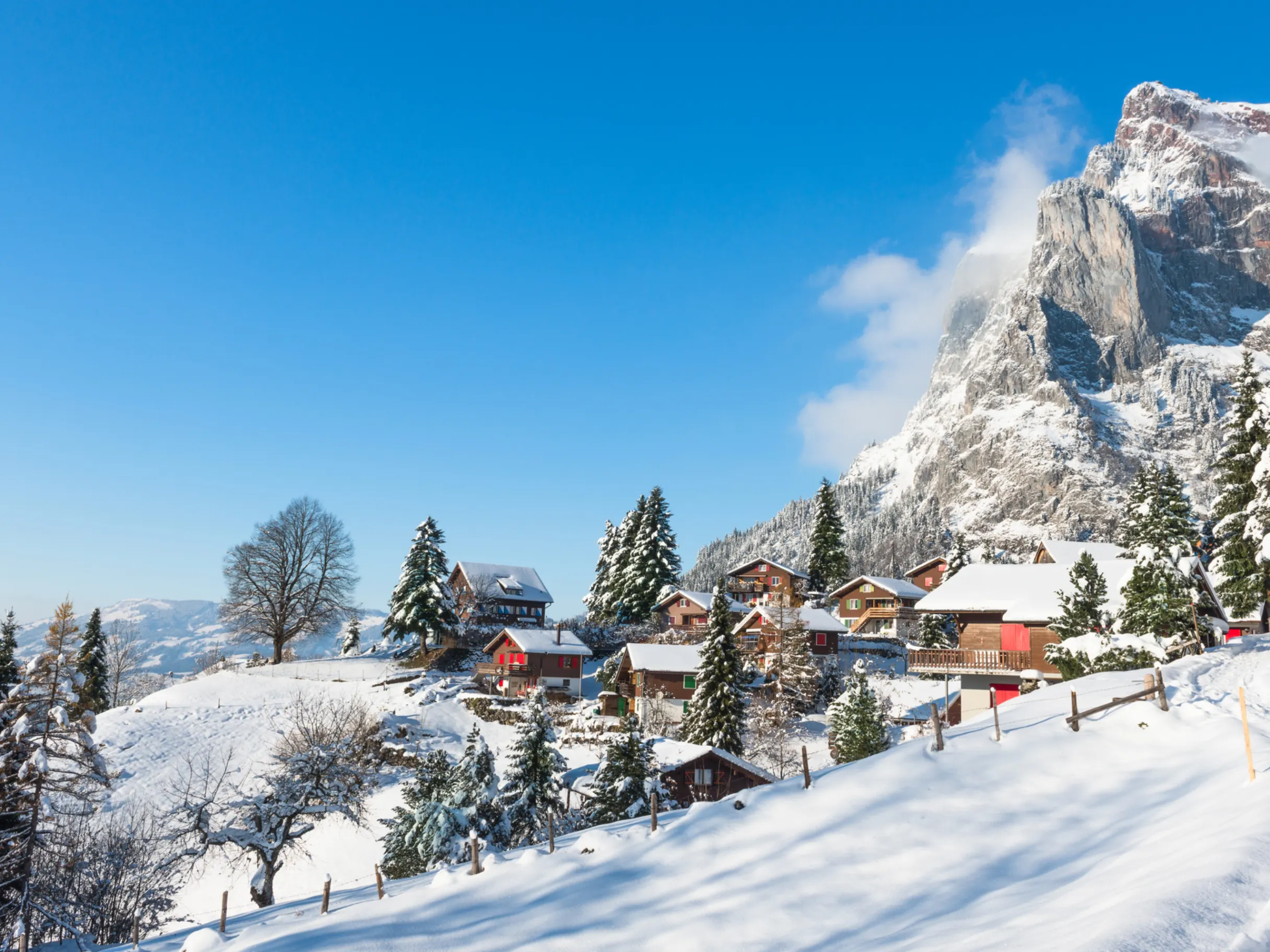 Image of Alpine property rules: what buyers need to know