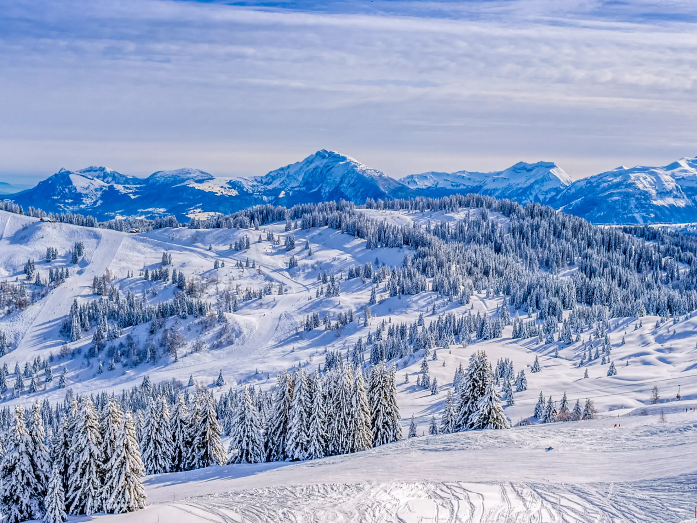 Image of France vs Switzerland at a glance