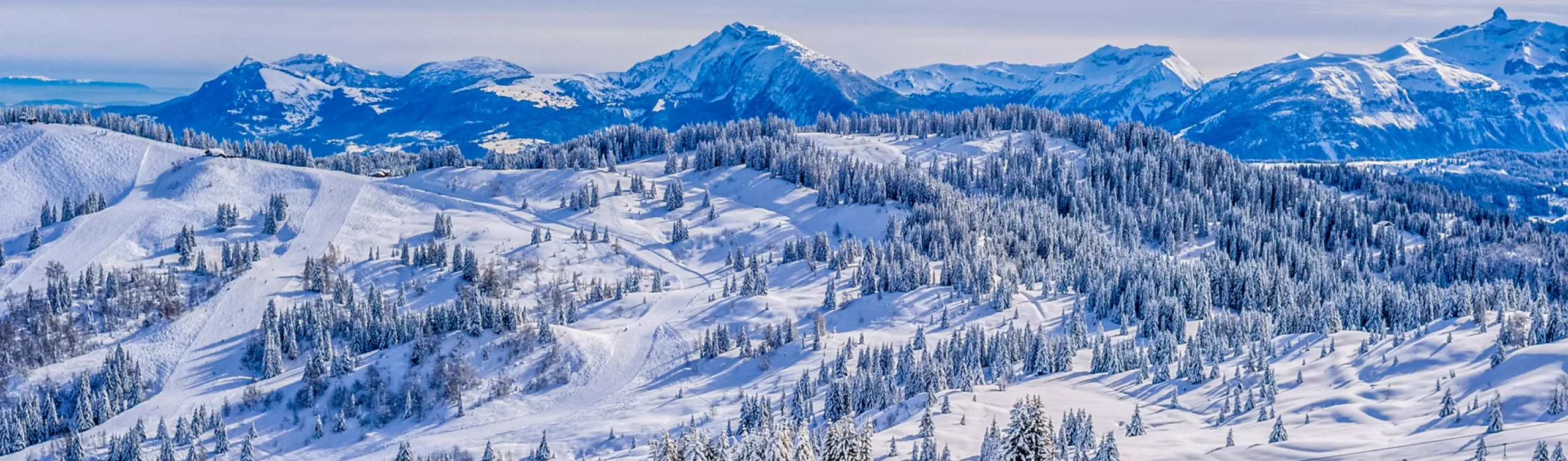 France vs Switzerland at a glance