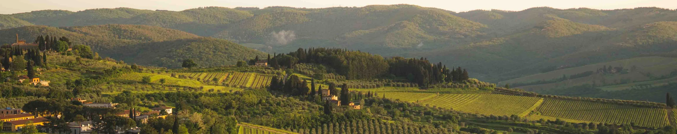 Tax Exodus or Lifestyle Upgrade: What’s Really Driving Europe’s HNWI Influx?