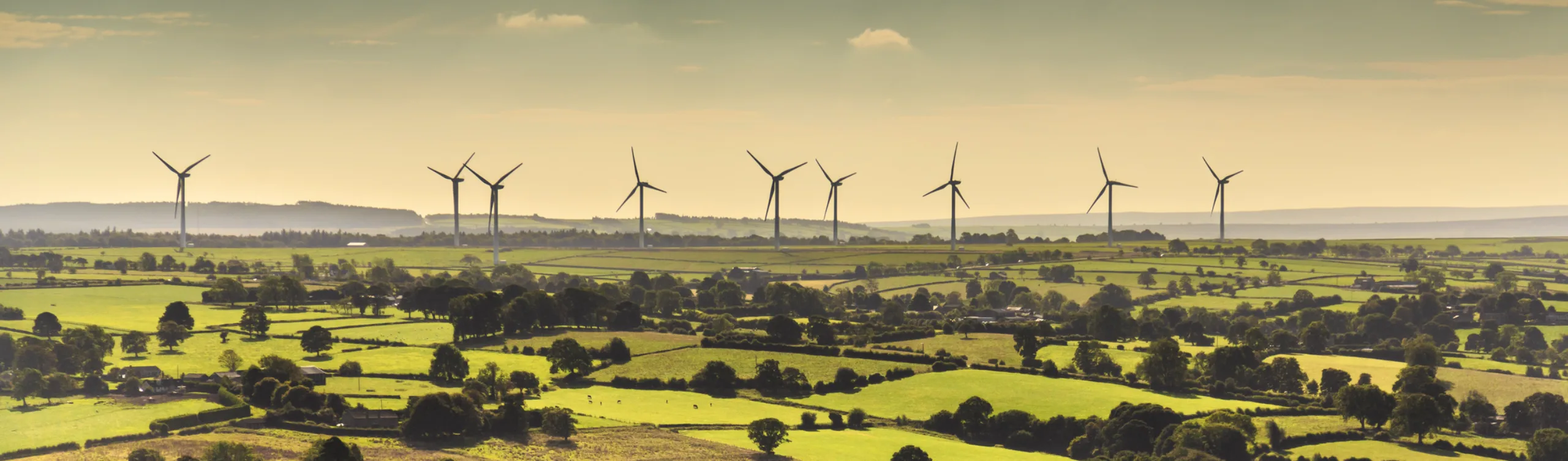 Connection reform update: a new pipeline announced