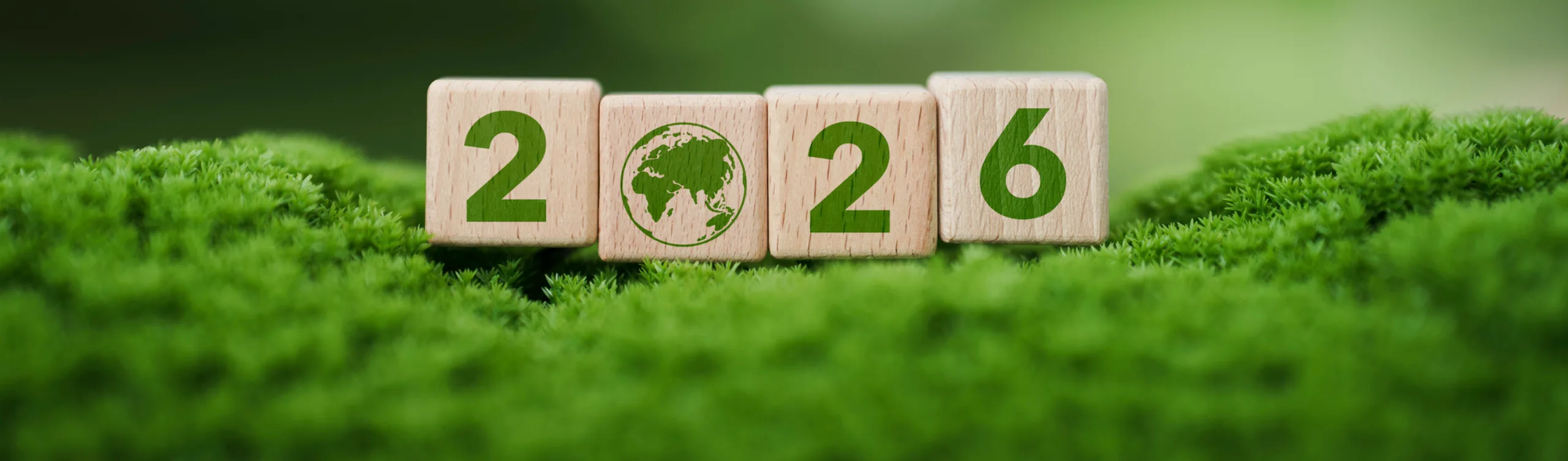 More of the same? Sustainability & real estate for 2026