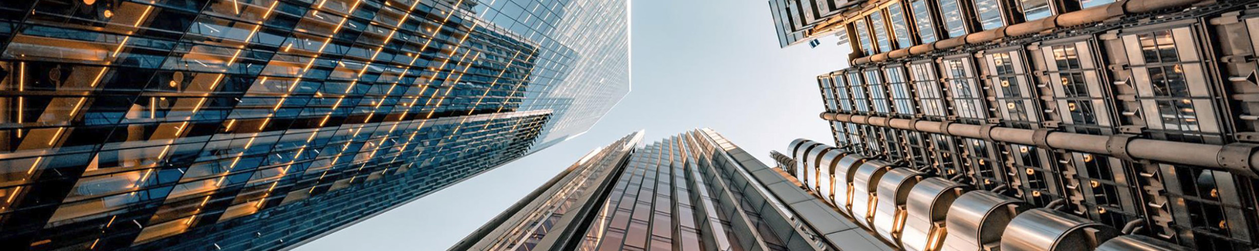 Leading in the age of volatility