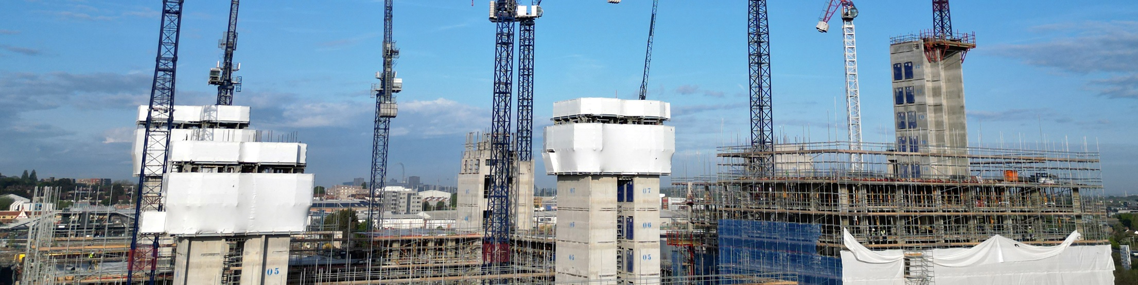 How to navigate development challenges in a transitional market