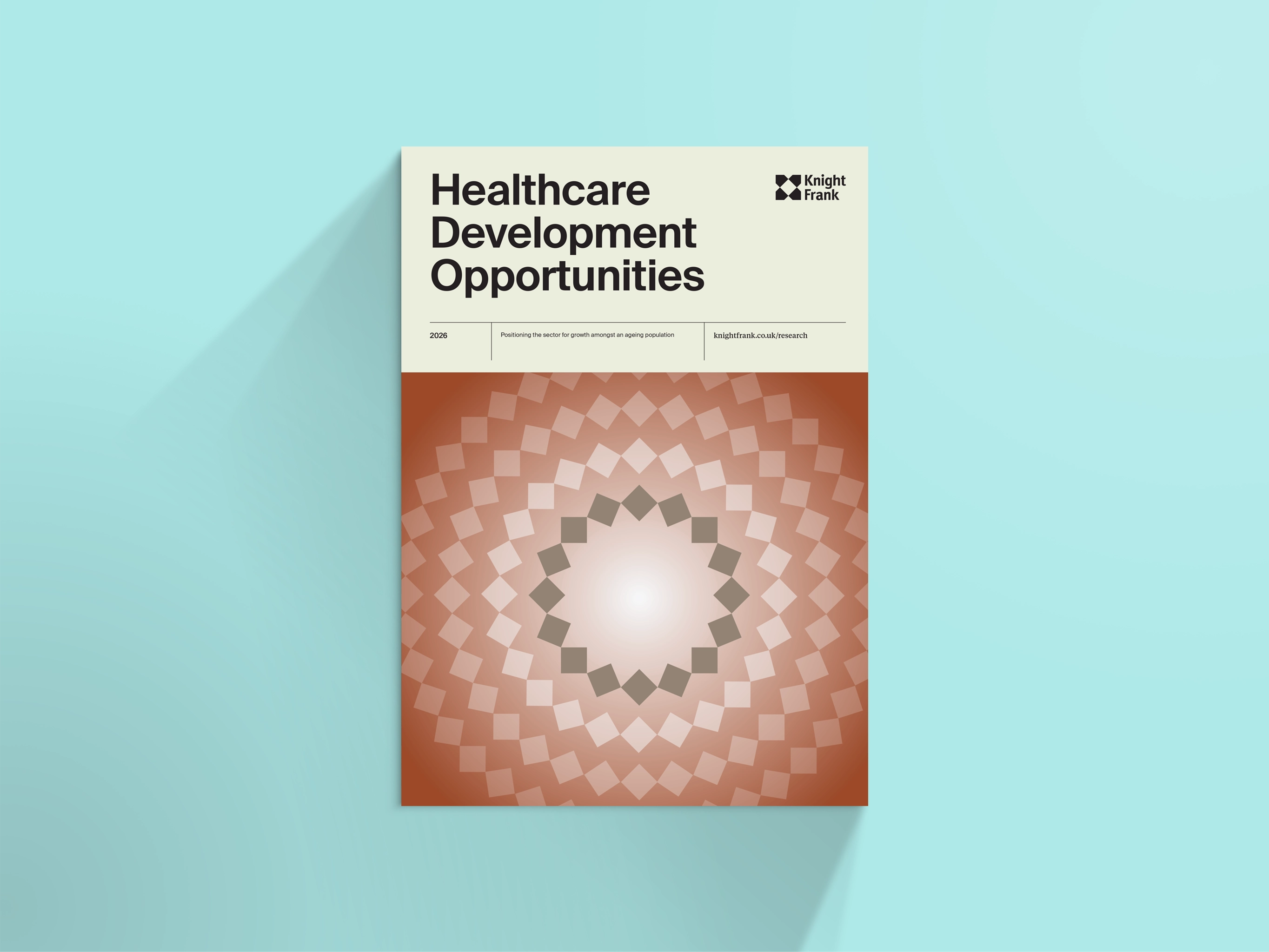 Image of Healthcare Development Opportunities