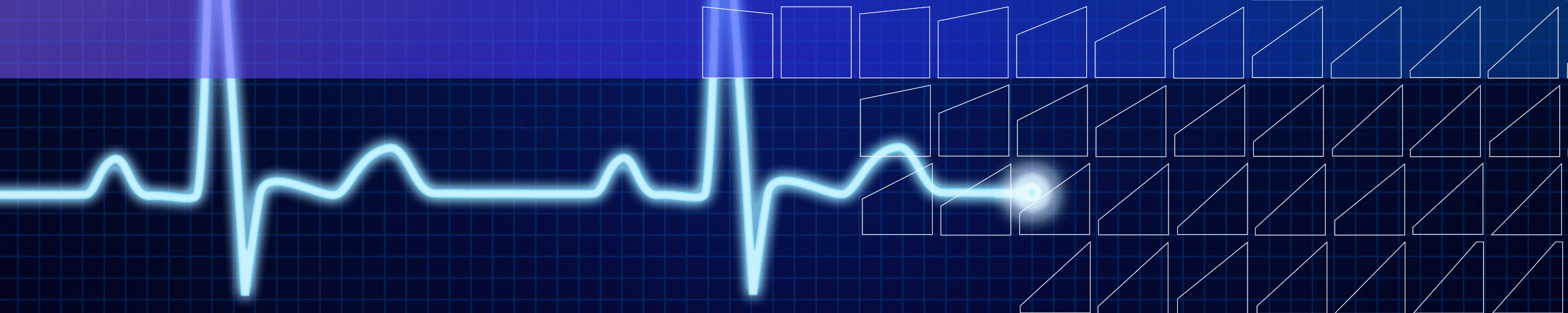 The case for Healthcare remains strong: an interview with Julian Evans