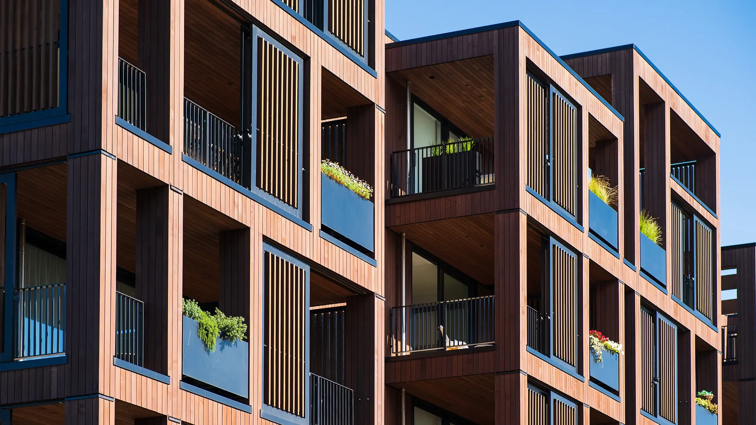 City apartments on a clear day.