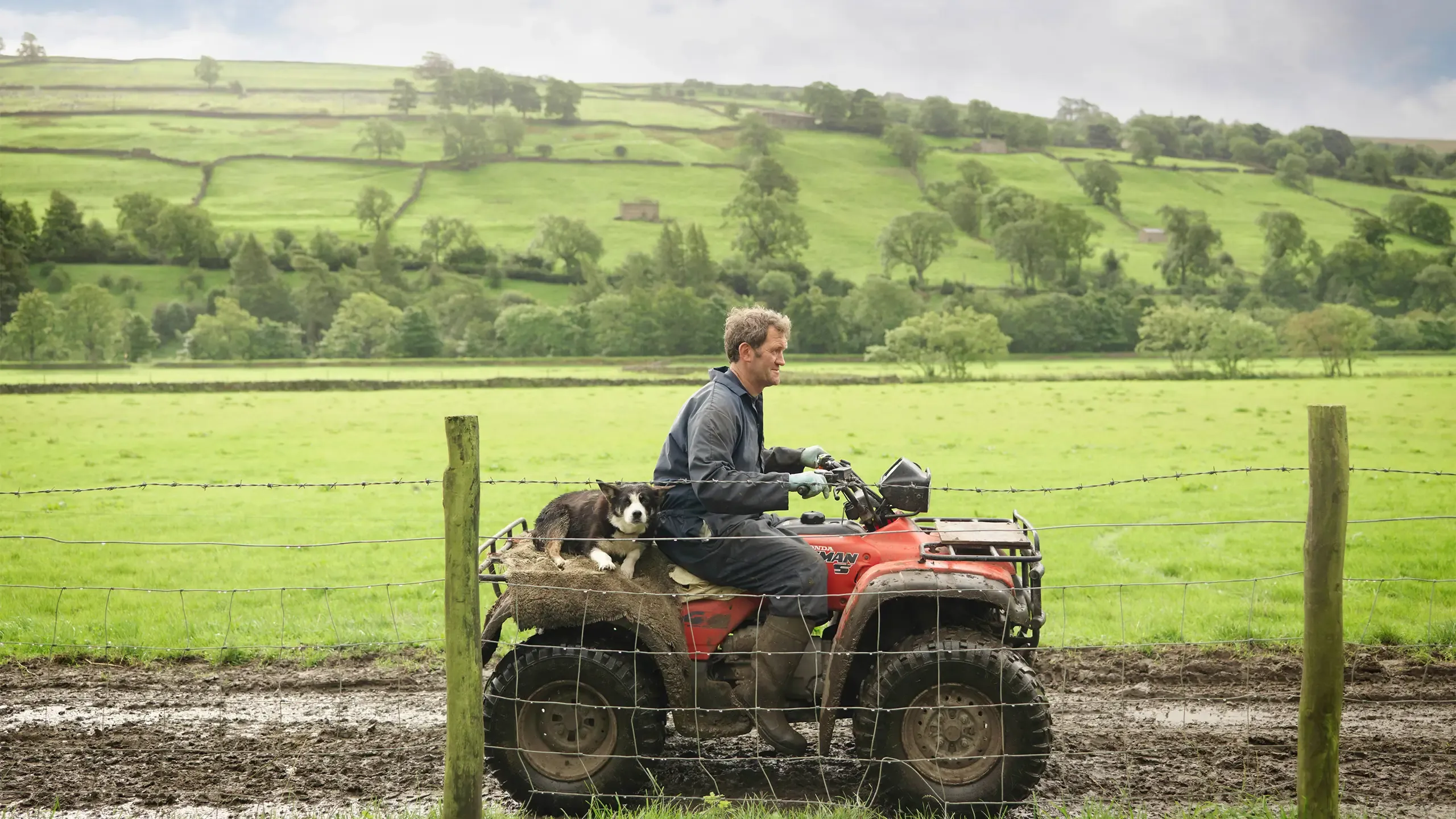 Farmer And Dog On Tractor