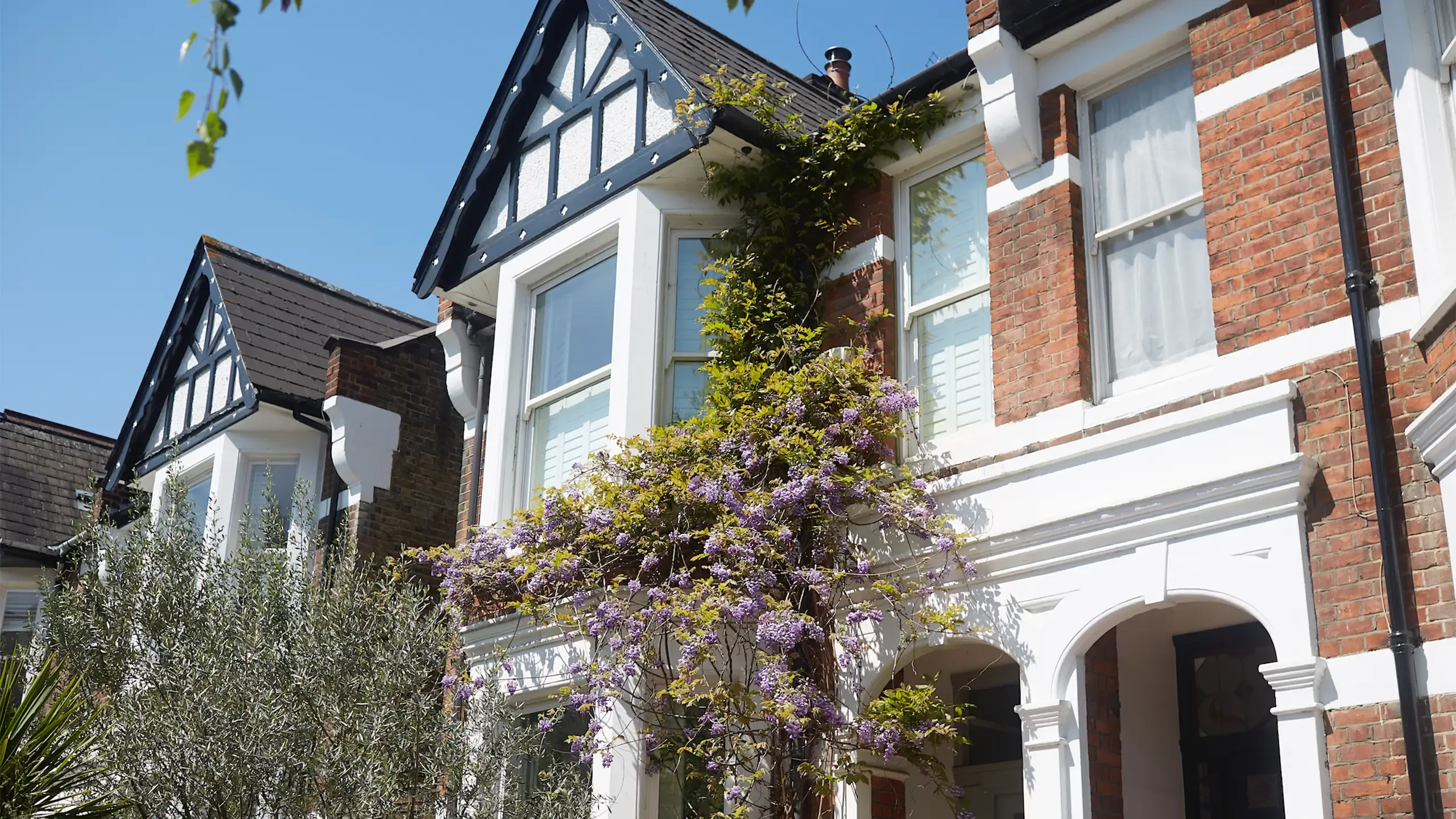 A row of residential houses adjacent to a tree, highlighting the integration of greenery in a neighborhood setting.
