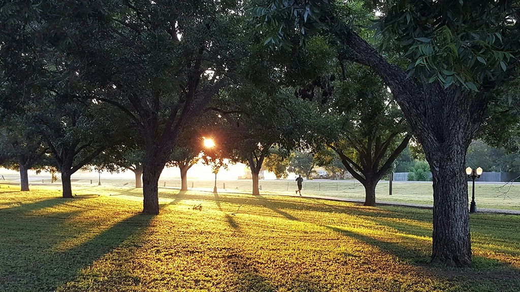 A man runs through a leafy park at sunrise