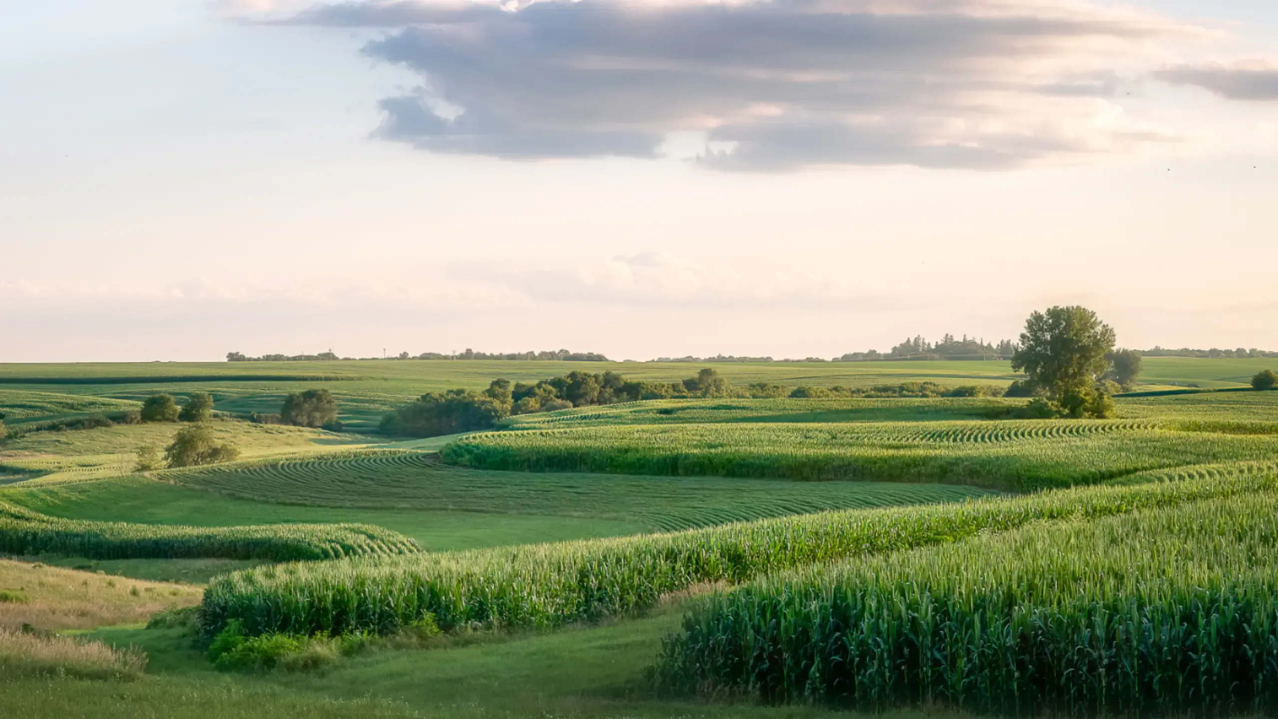 Scenic view of agricultural field against sky,Minnesota,United States,USA