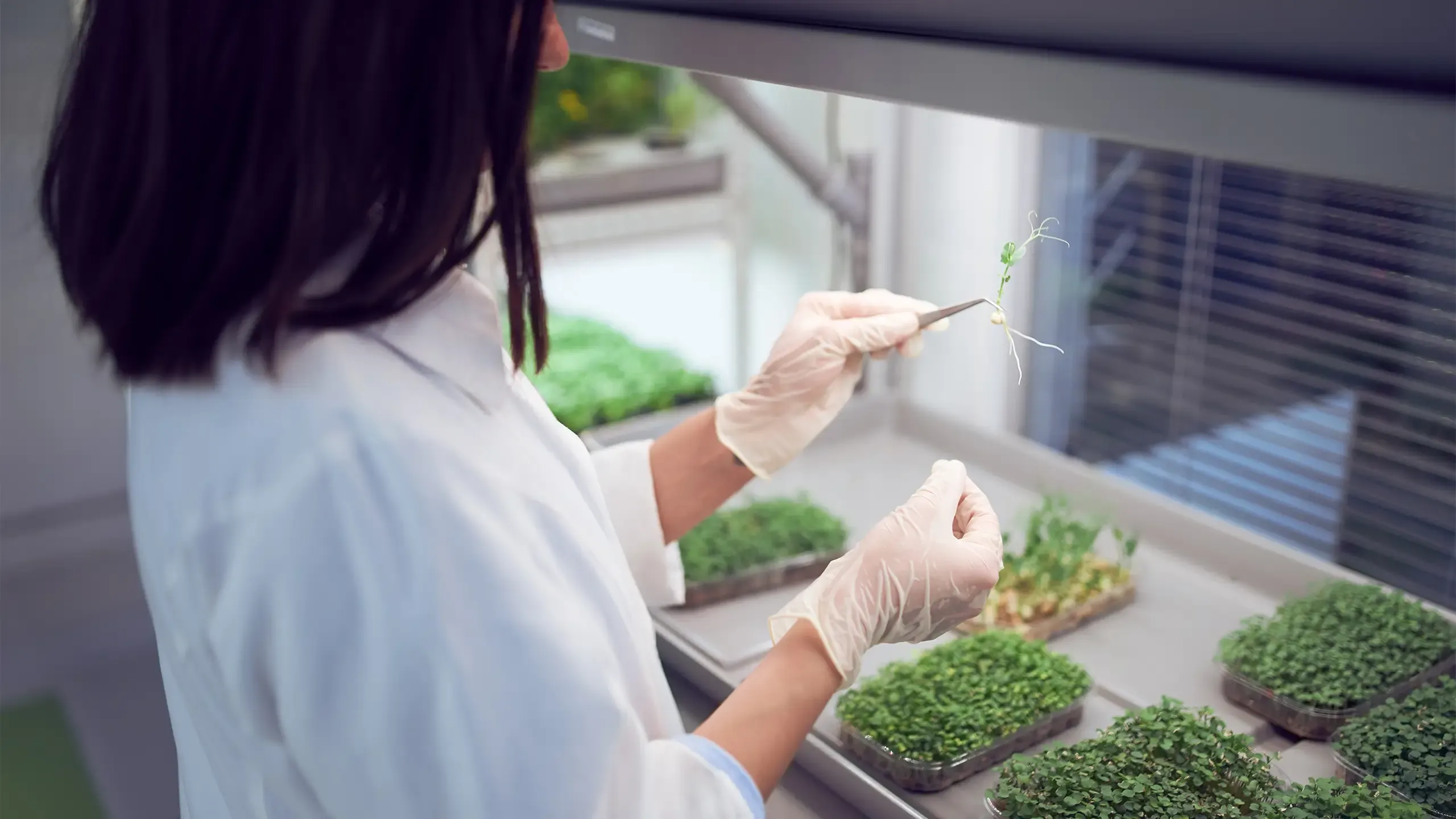 Woman checking plant in lab